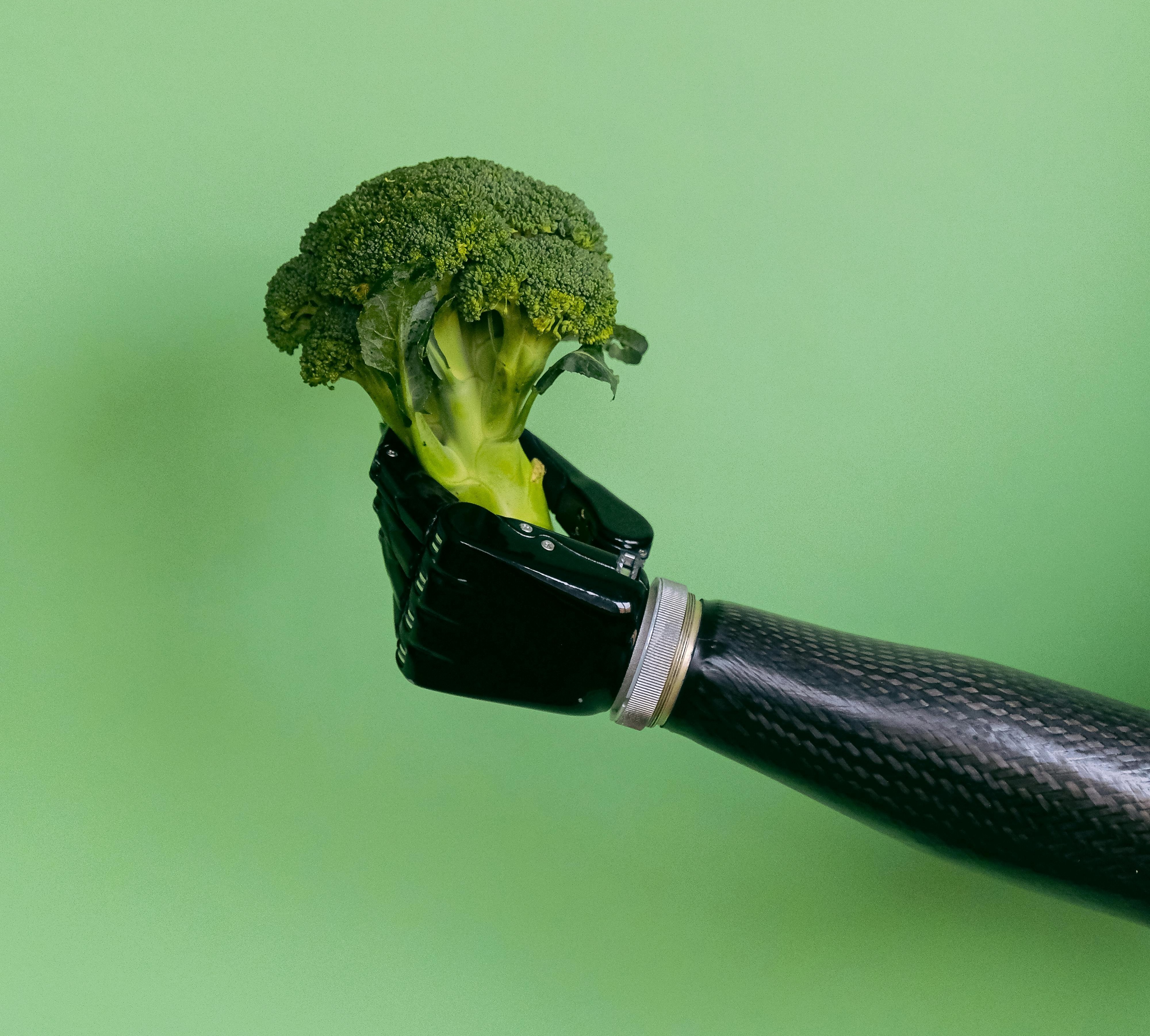 מעקב תזונתי